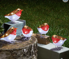 Battery Operated Acrylic Robins with 30LEDs Set of 5 12cm