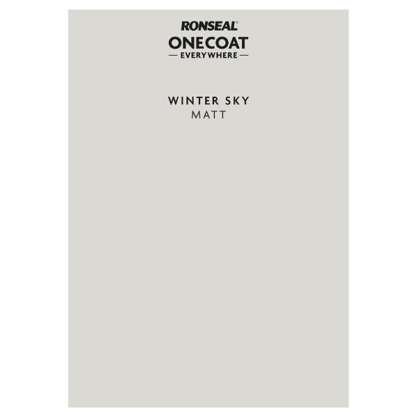 Ronseal One Coat Everywhere Paint Peel & Stick Winter Sky