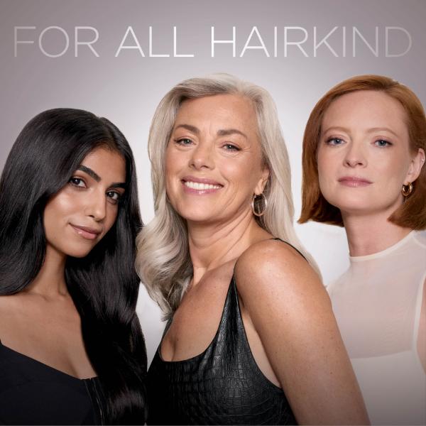 Shark HD652SUK FlexStyle Heat Straight All Hair Types with Storage