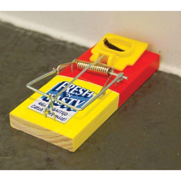Big Cheese Fresh Baited Mouse Trap Twin Pack