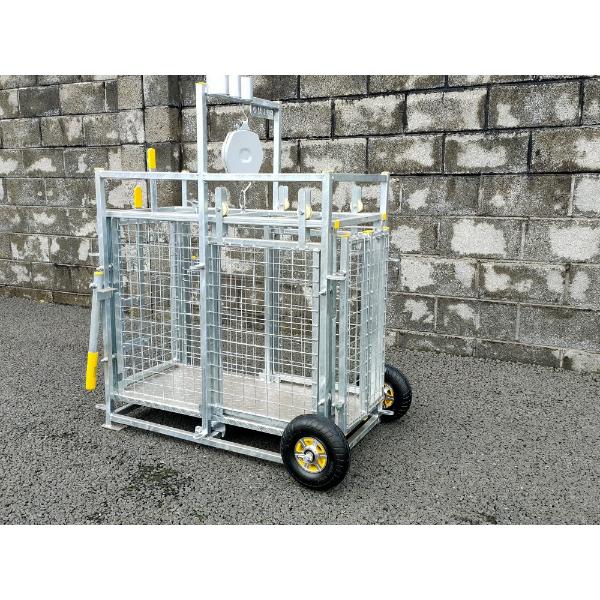 Buffalo Sheep/ Calf Weighing Scales