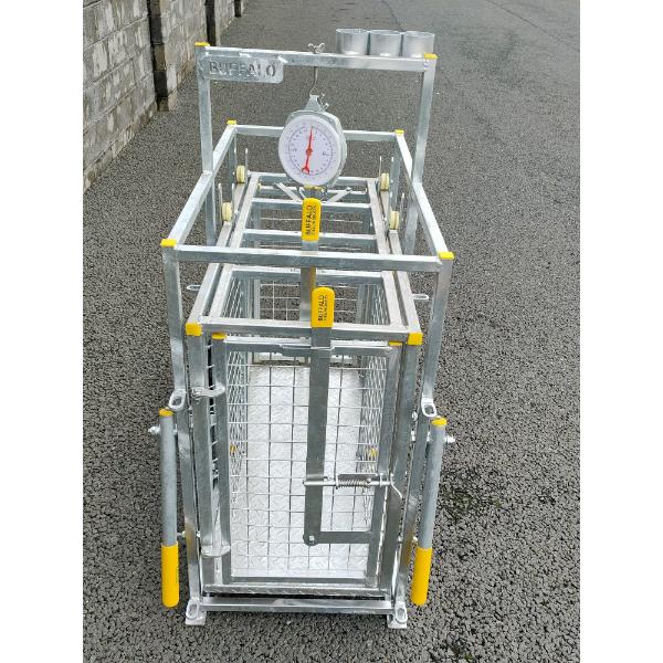 Buffalo Sheep/ Calf Weighing Scales