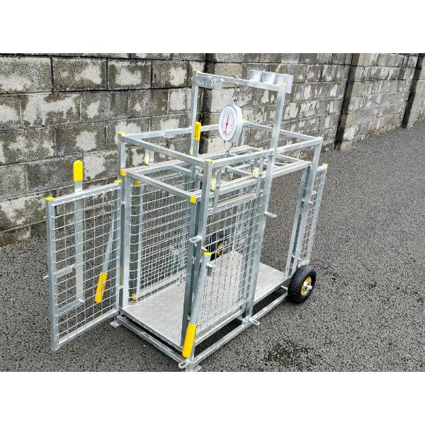 Buffalo Sheep/ Calf Weighing Scales