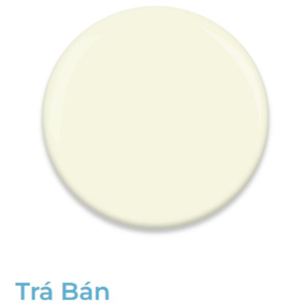 Fleetwood Weather Clad Tester 250ml Tra Ban