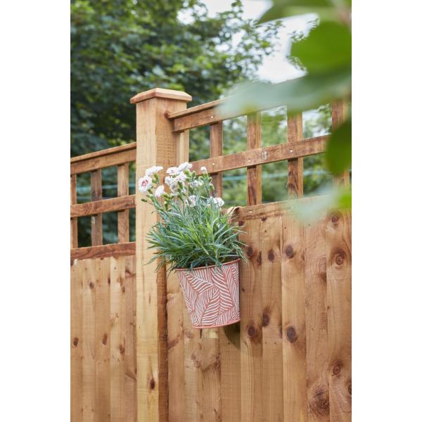 Smart Garden 6" Fence & Balcony Hanging Pot - Fern - Terracotta 15cm