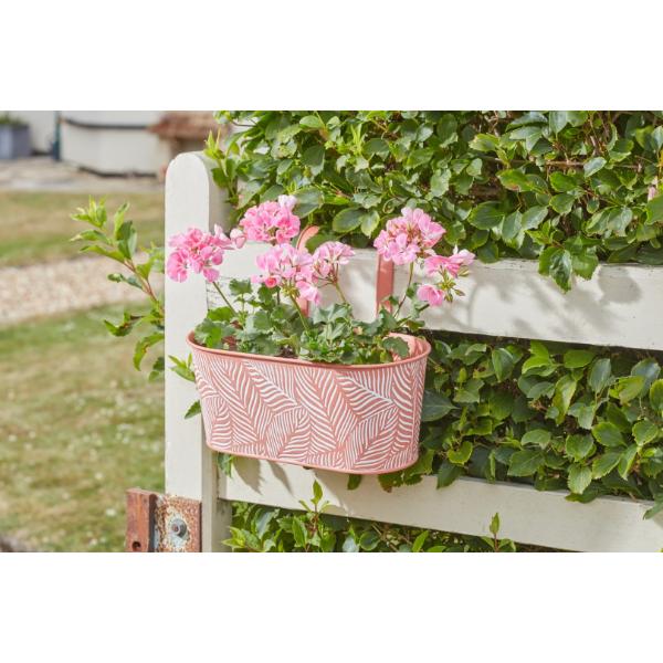 Smart Garden 12" Fence & Balcony Hanging Planter - Fern - Terracotta