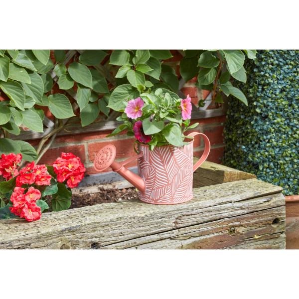 Smart Garden PlanterCan - Fern - Terracotta