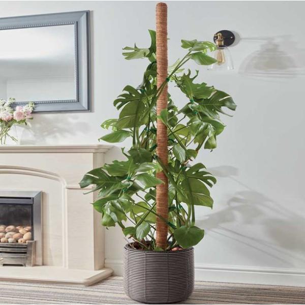 Smart Garden CocoMoss Pole 150 cm