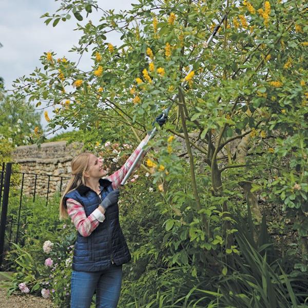 Wilkinson Sword Ultralight 2M Branch & Shrub Cutter With Quality SK5 Cutting Blade