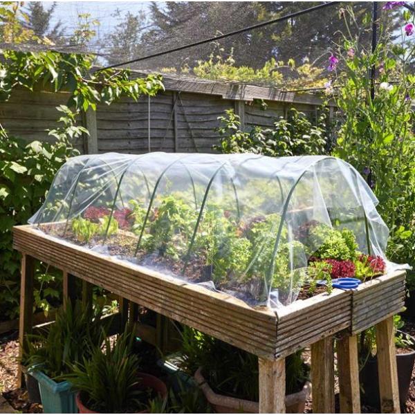 Smart Films And Fabrics G50 Poly Sheet Clear 2X5m