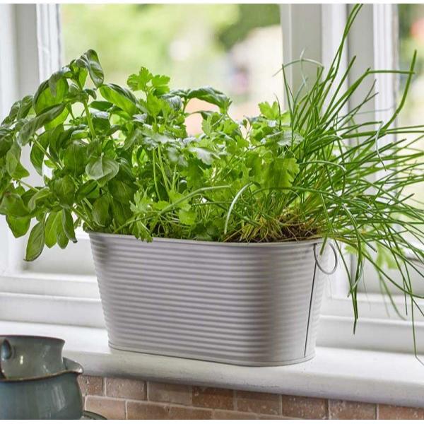 Smart Hanging And Patio Gardening 11In Ribbed Planter-Ivory