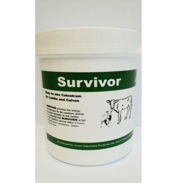 Survivor Calf Colostrum 400g