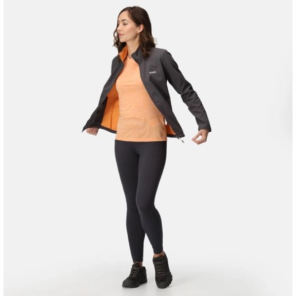 Regatta Connie V Womens Soft Shell Jacket Seal Grey Apricot Crush AW23