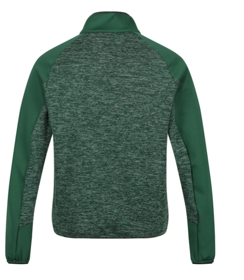Regatta Coladane V Mens Fleece Eden/Jasmine Green