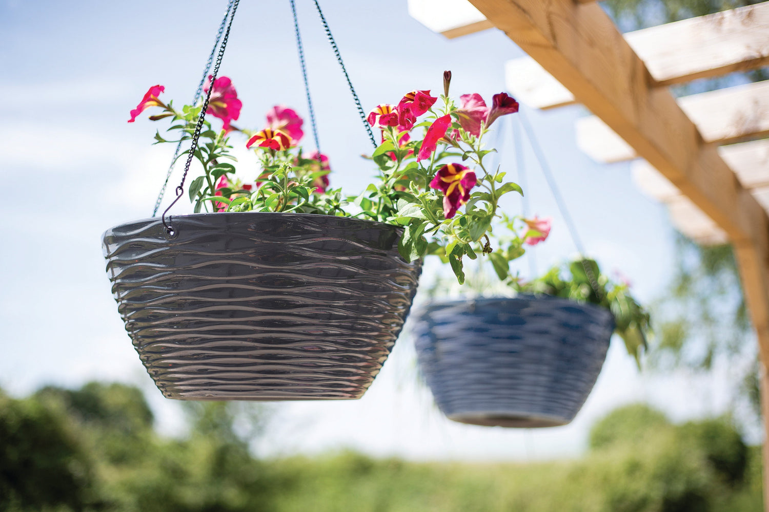 How to Make the Perfect Summer Hanging Basket: A Simple Guide from Our Garden Expert