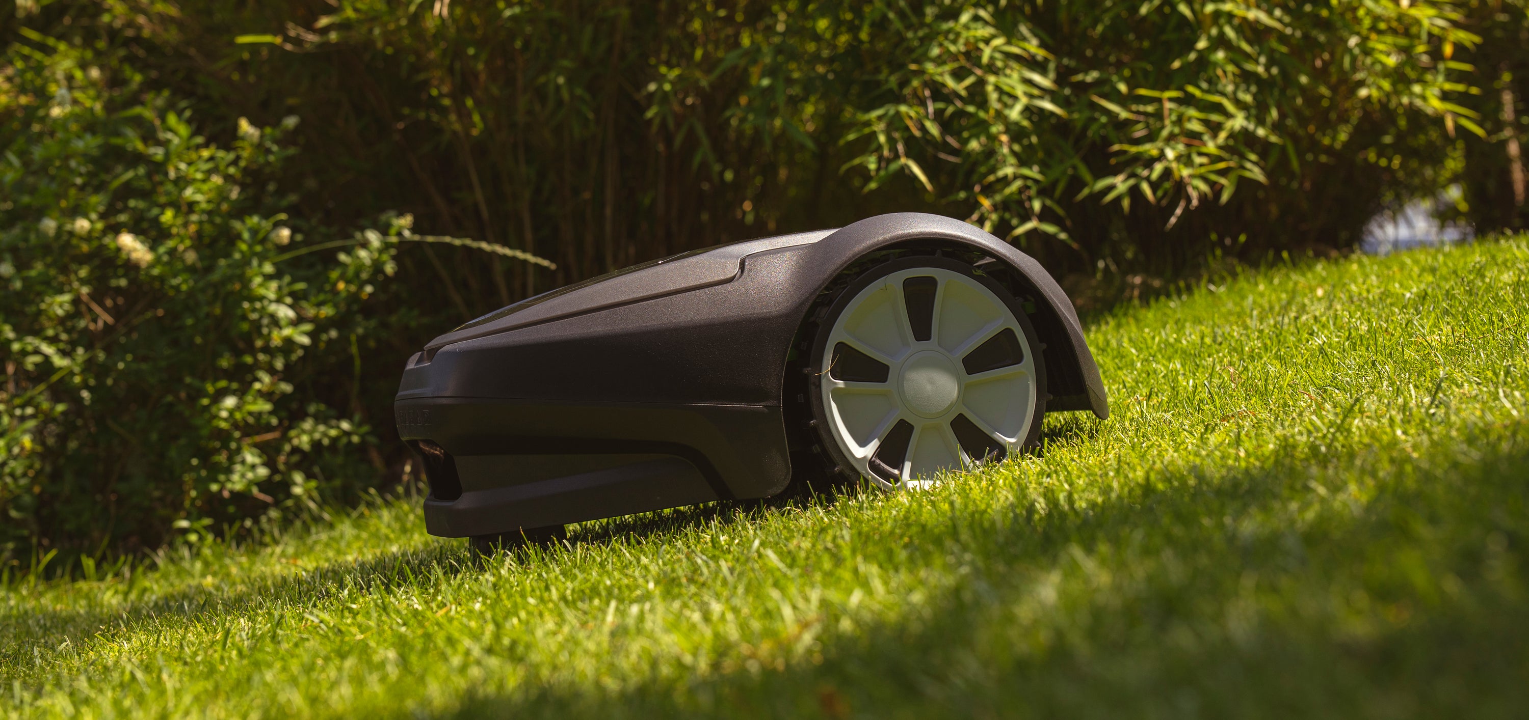 Choosing the Right Lawnmower for You