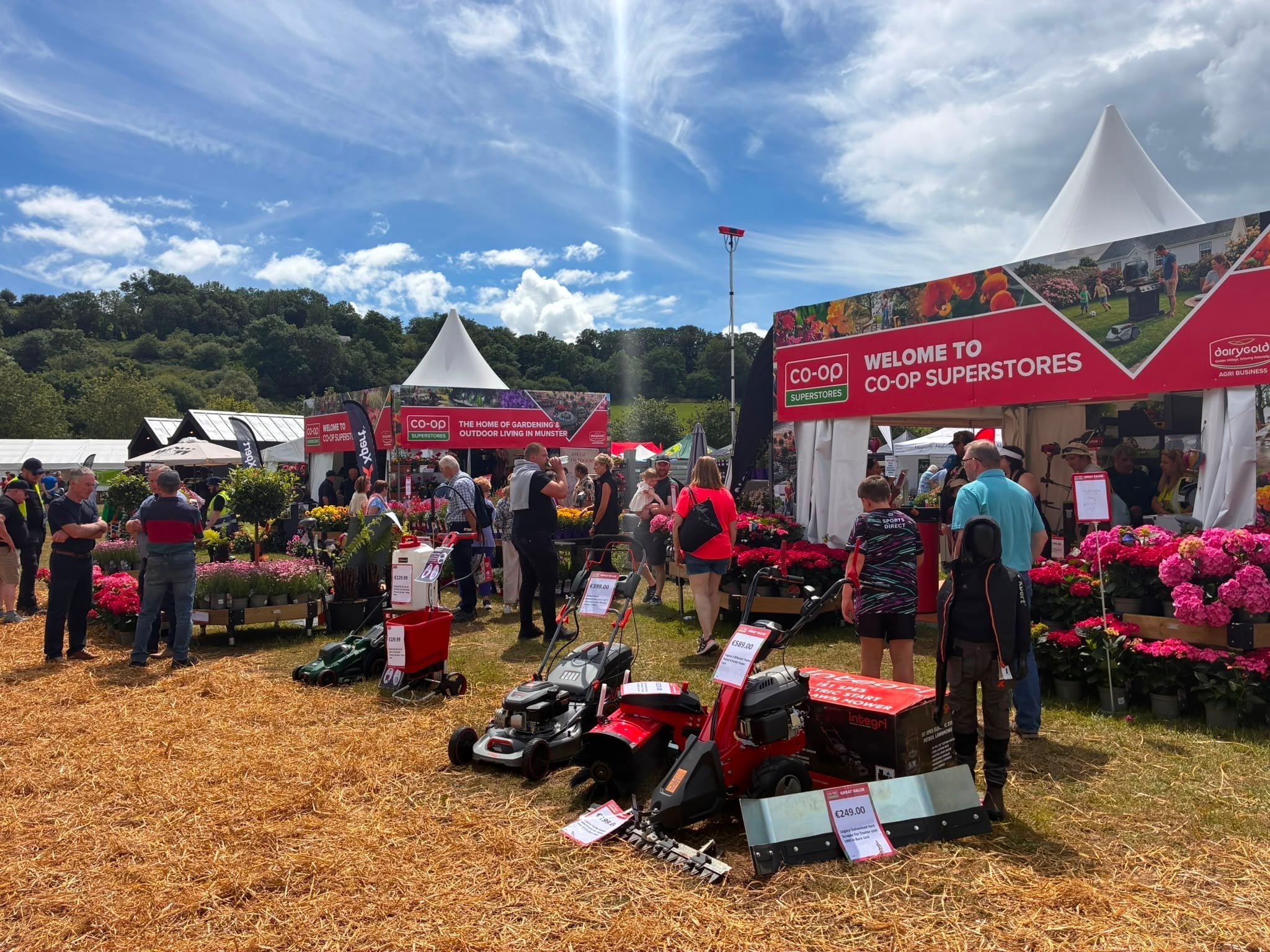 Cork Summer Show