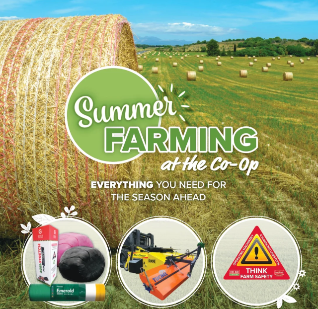 Summer Farm Brochure