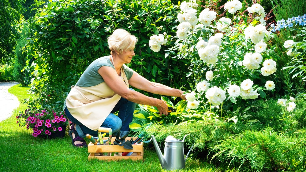Hand vs. Power: Choosing the Right Tools for Your Garden