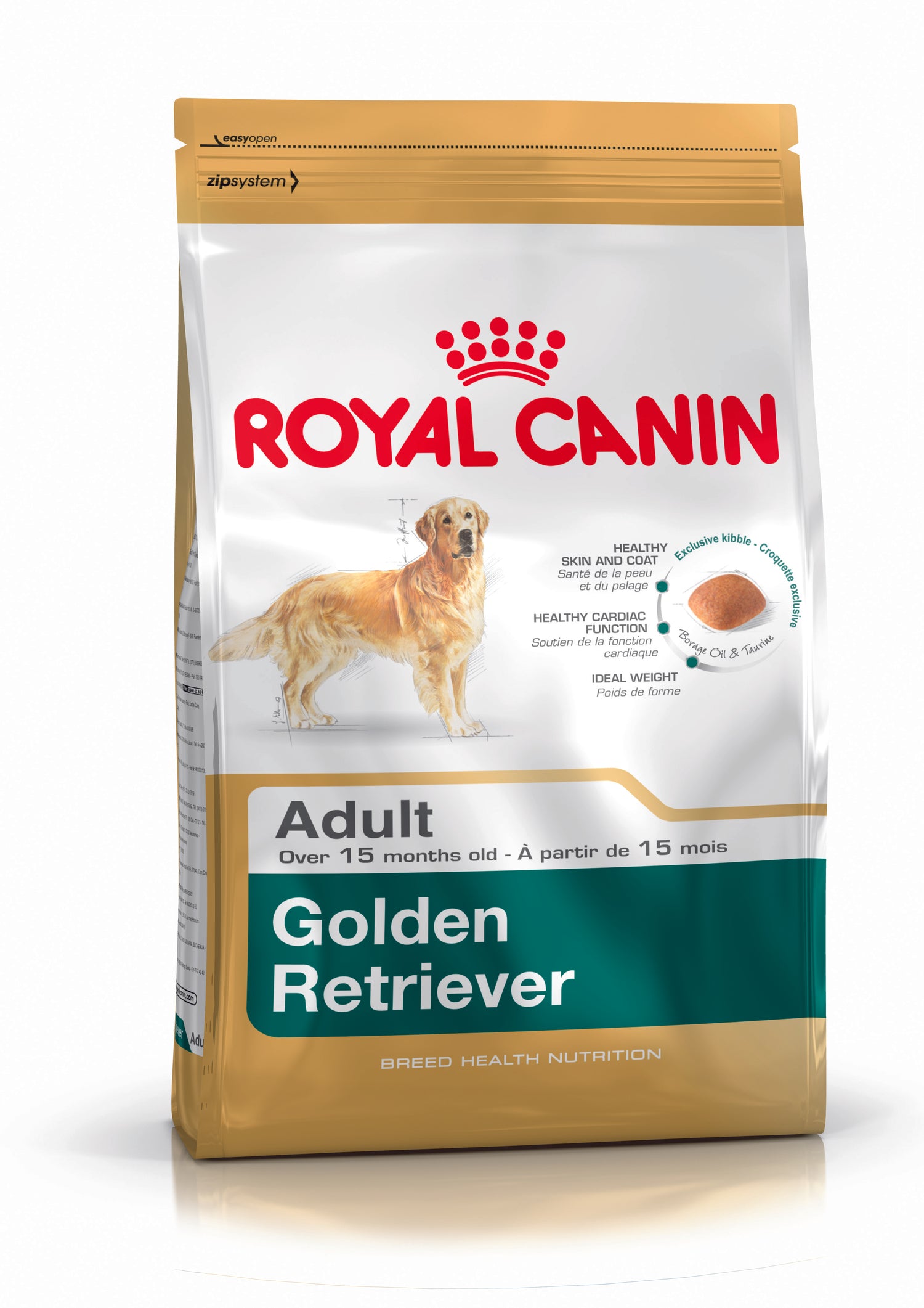 Golden Retriever Best Food To Feed Older Dogs Royal Canin-Golden