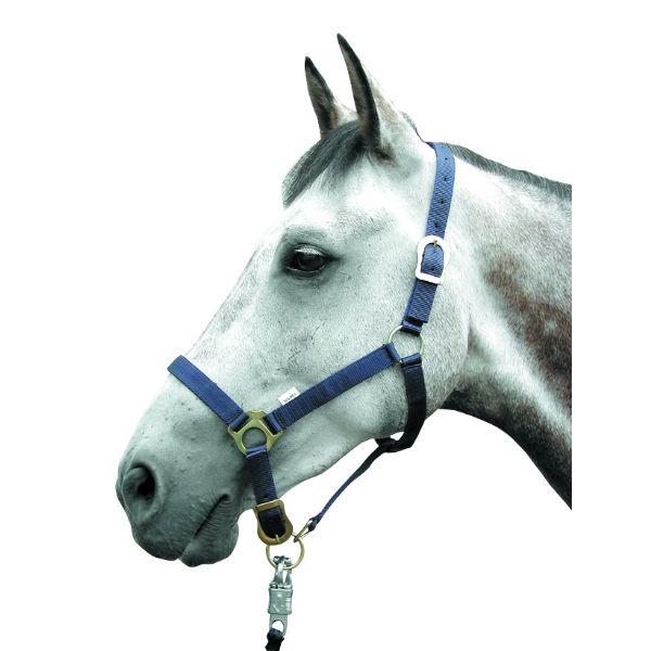 Adjustable Horse Head Collar Full Size Blue HSE368