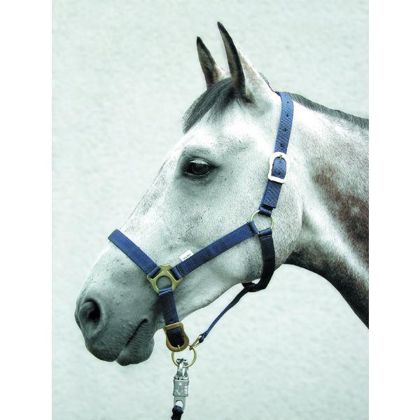 Adustable Pony Head Collar  HSE 376