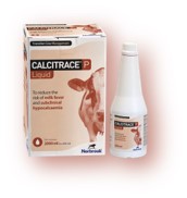 Calcitrace P Liquid 500ml