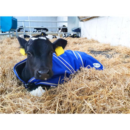 JFC Calf Jacket Medium 75cm