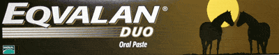 Eqvalan Duo Paste Tube