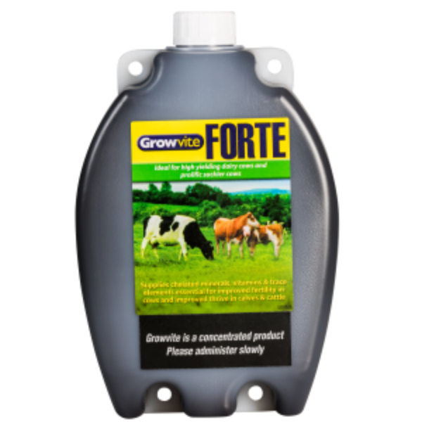 Growvite Forte 2.5L - Oral