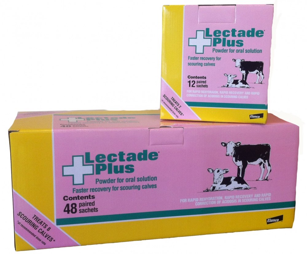Lectade Plus (per Sachet)