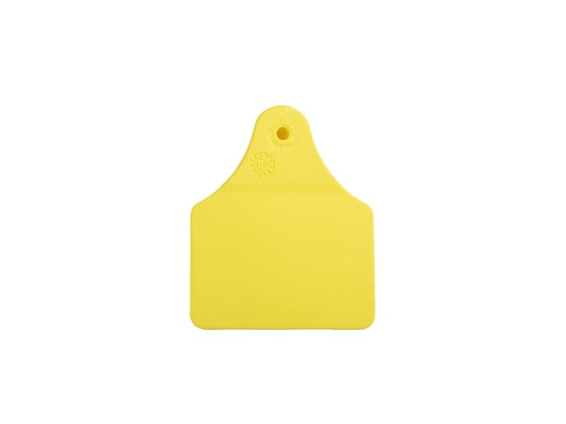 Medium Yellow Male Blank Tag