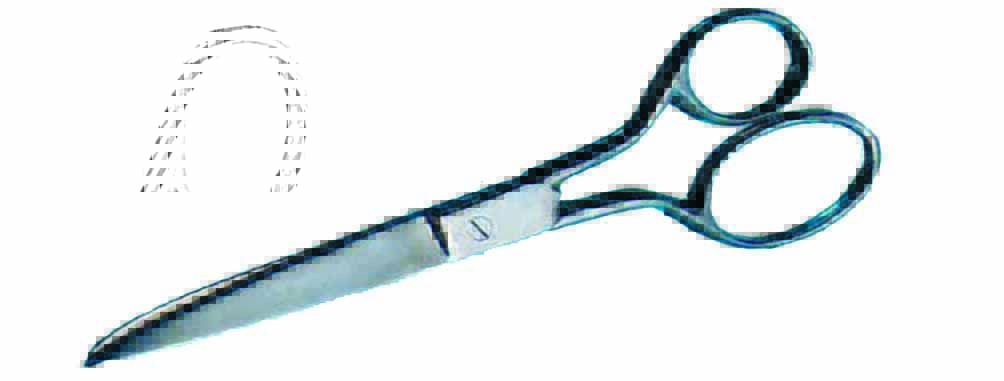 Straight Scissors 8.25&