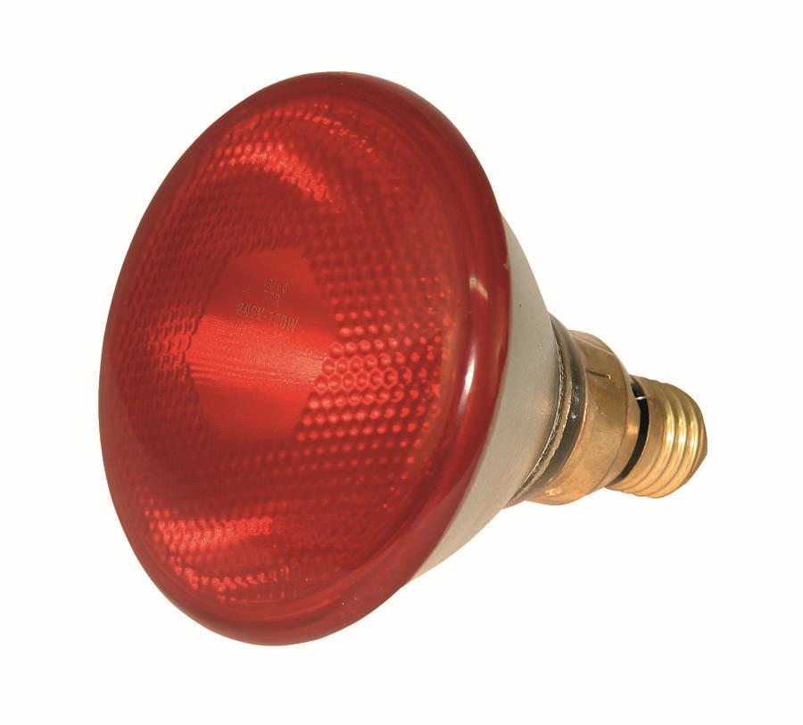 Infrared Lamp Bulb 175W