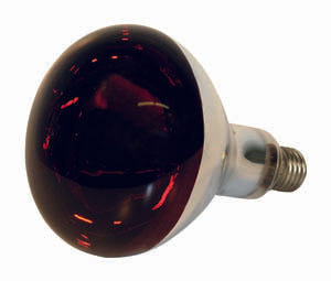 Eurofarm Infrared Bulb 150W