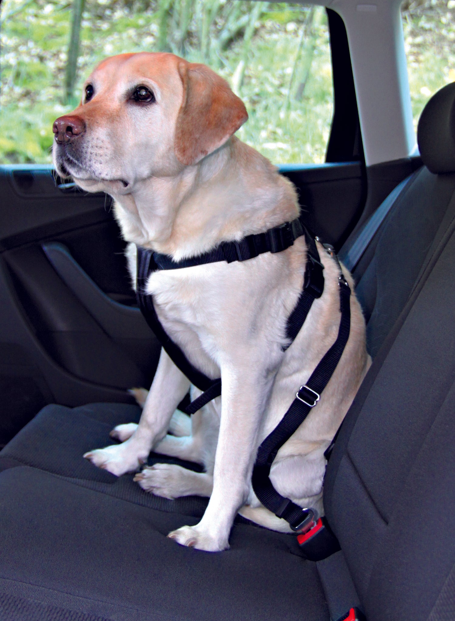 Trixie Dog Car Harness Small 30 - 60cm
