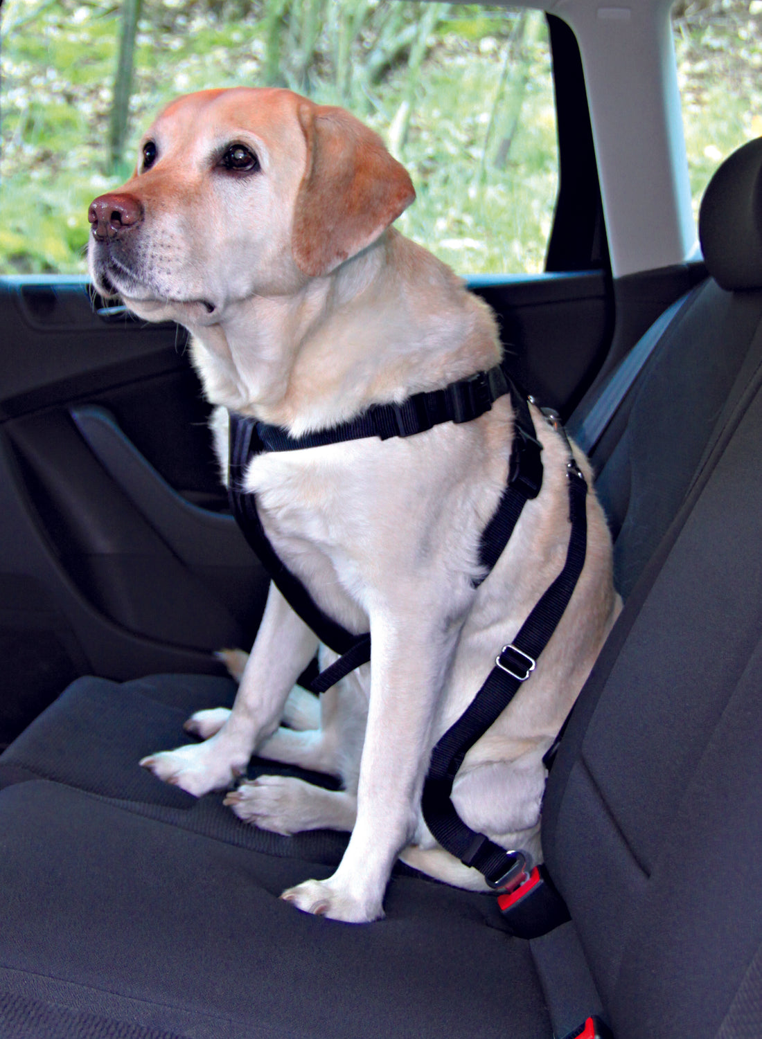 Trixie Dog Car Harness Medium 50 - 70Cm