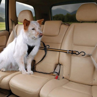 Kurgo Auto Zip Line - Black/Orange