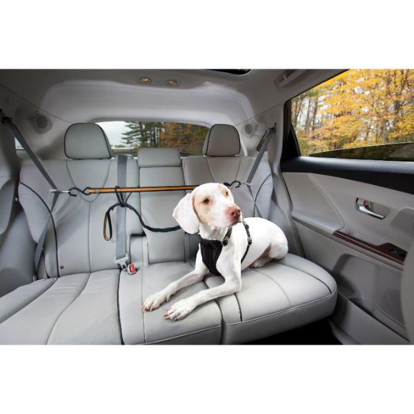 Kurgo Auto Zip Line - Black/Orange