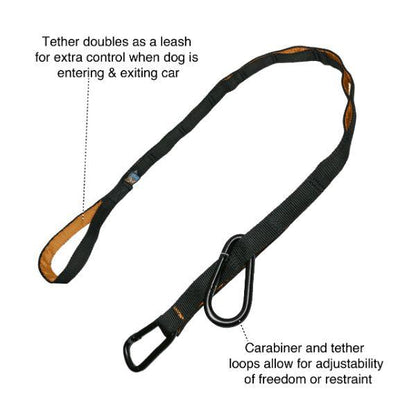 Kurgo Auto Zip Line - Black/Orange