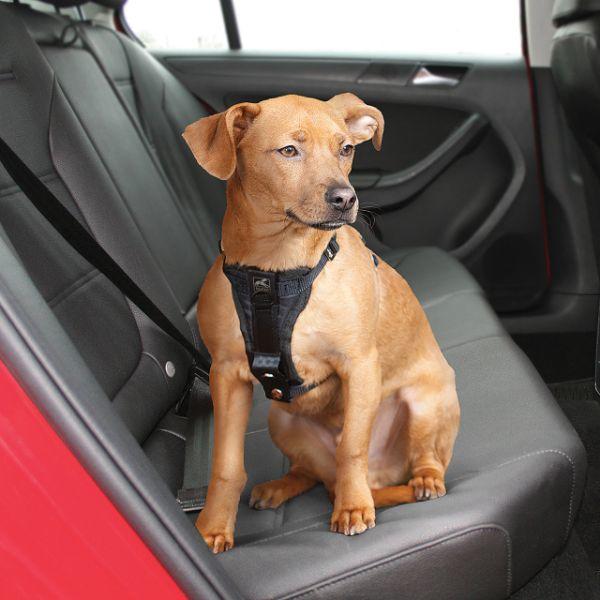 Kurgo Enhanced Strength Tru-Fit Smart Harness - Black, Small