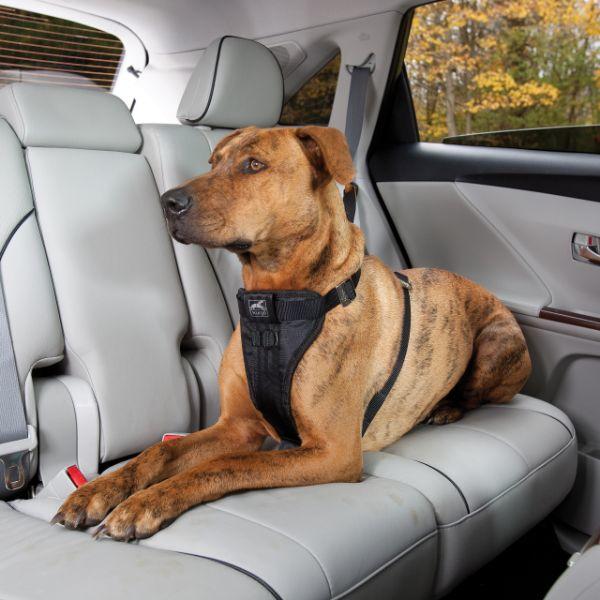 Kurgo Enhanced Strength Tru-Fit Smart Harness - Black, Medium