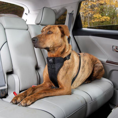 Kurgo Enhanced Strength Tru-Fit Smart Harness - Black, Medium