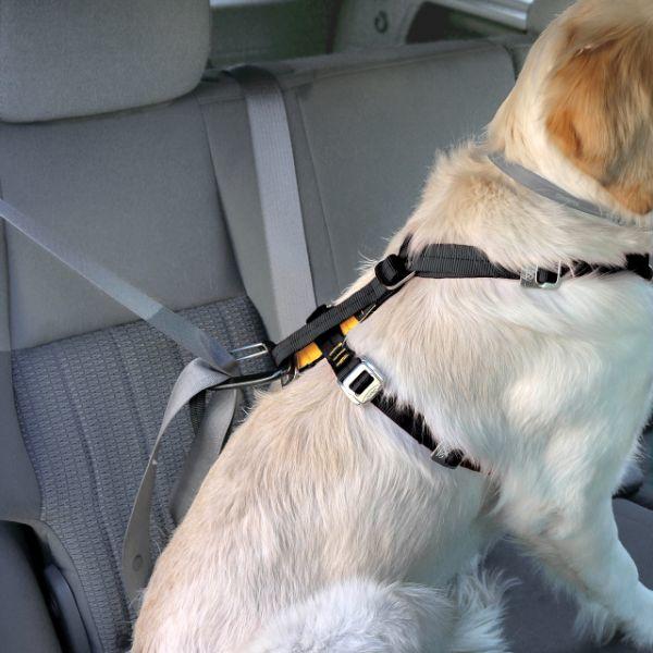 Kurgo Enhanced Strength Tru-Fit Smart Harness - Black, Large