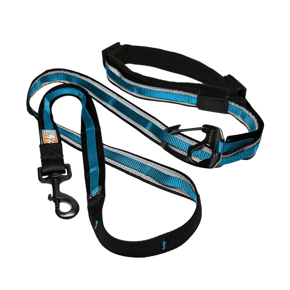 Quantum Leash Reflect &amp; Protect - Blue