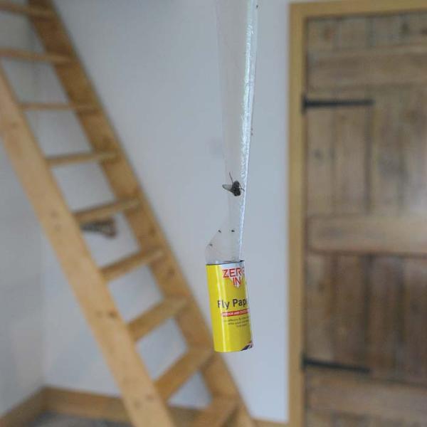 Zeroin Fly Papers - 8 Pack