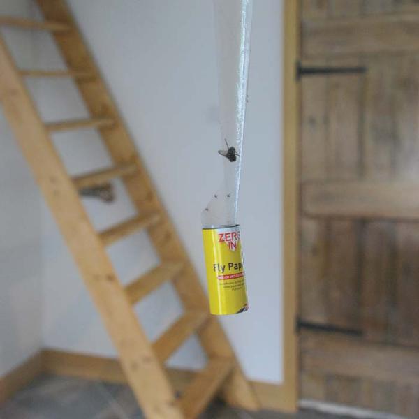 Zeroin Fly Papers (4Pack)