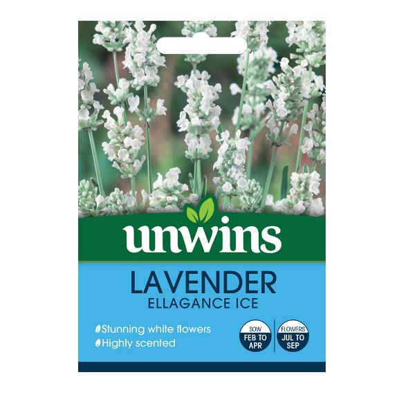Unwins Seed Packet Lavender Ellegance Ice (Recommended)