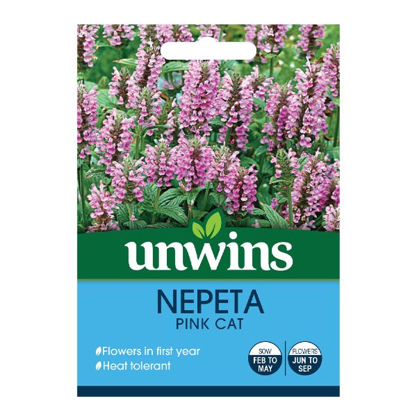 Unwins Seed Packet Nepeta Pink Cat