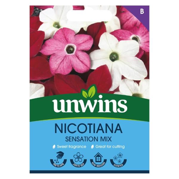 Nicotiana Sensation Mix